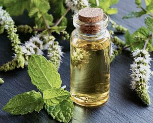 Mentha-piperita-oil.jpg